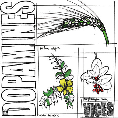 The Dopamines 'Vices' 12" LP